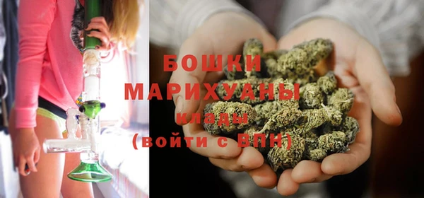 PSILOCYBIN Арсеньев
