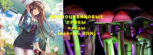 дурь Нягань