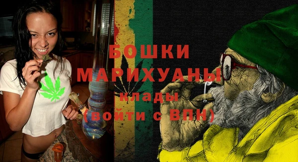 хмурый Аркадак