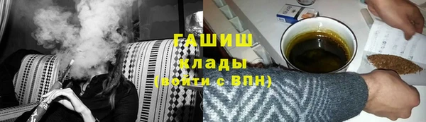 хмурый Аркадак