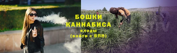 PSILOCYBIN Арсеньев
