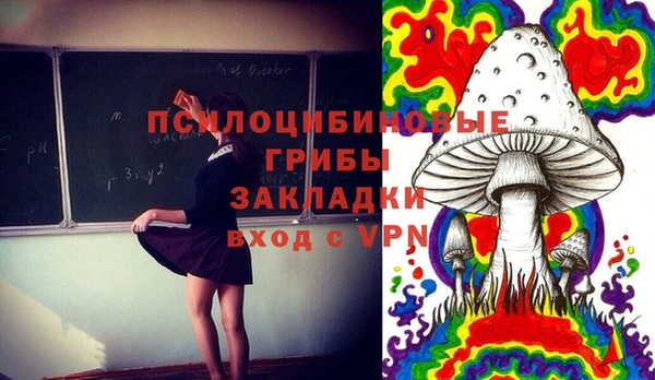 хмурый Аркадак
