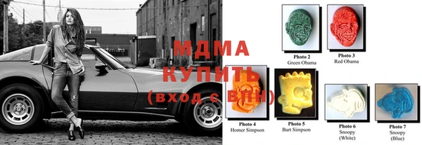 хмурый Аркадак