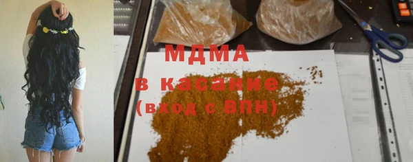 хмурый Аркадак