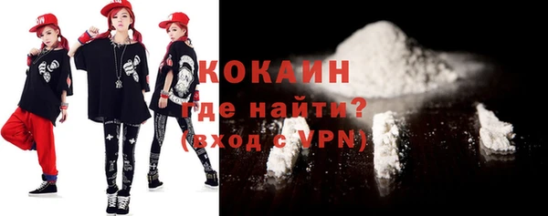 хмурый Аркадак