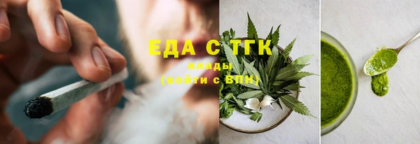 хмурый Аркадак