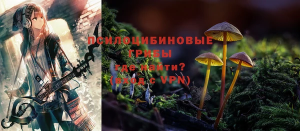 PSILOCYBIN Арсеньев
