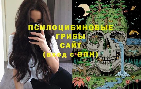 прущие грибы Армянск