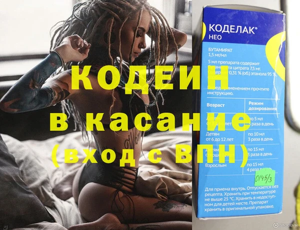 хмурый Аркадак