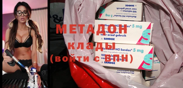 прущие грибы Армянск