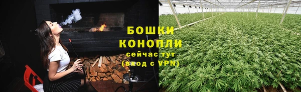 прущие грибы Армянск