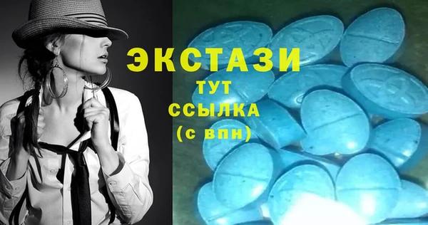 хмурый Аркадак